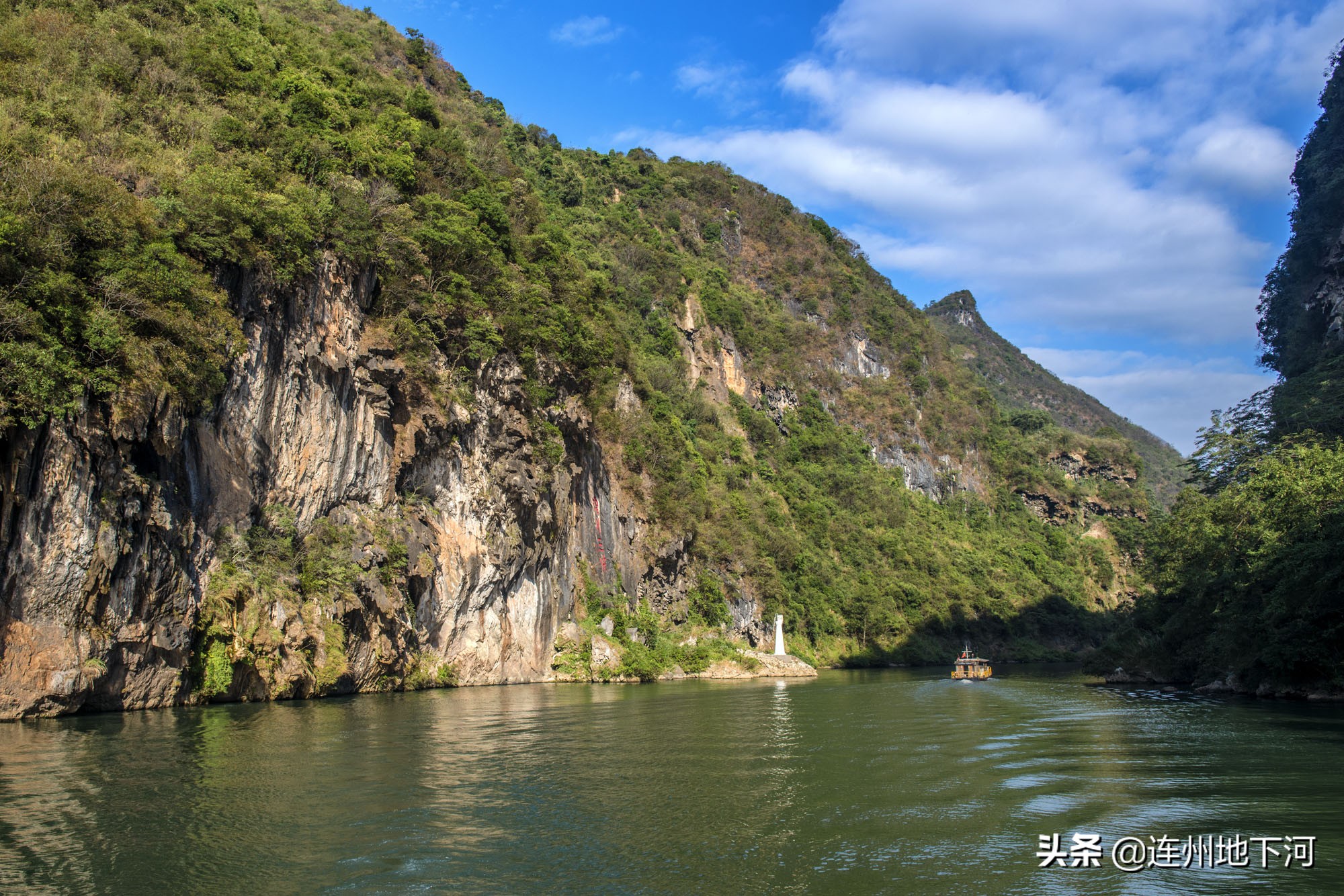 以自然之名为地球发声完整版,以生命之名为地球发声