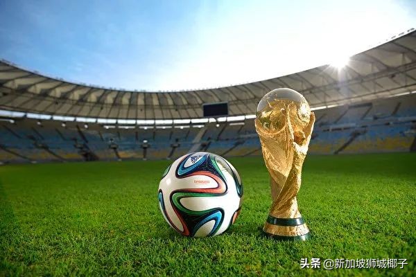 如果胜新加坡能进世界杯吗,新加坡有没有进世界杯