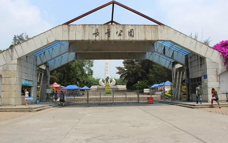 其实传销并不可怕,传销到底有多可怕电视剧