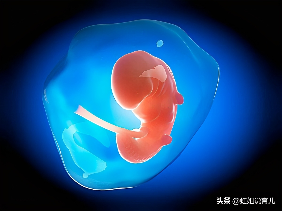 怀孕一个月孩子什么样,怀孕一个月怎样选择手术