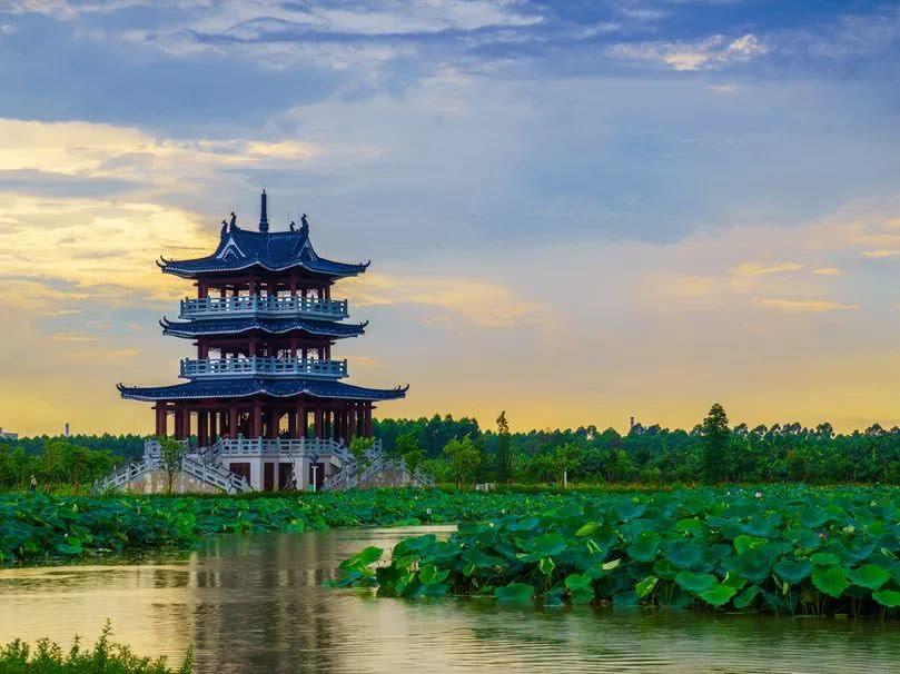 东莞麻涌大湾区,东莞麻涌田园生活