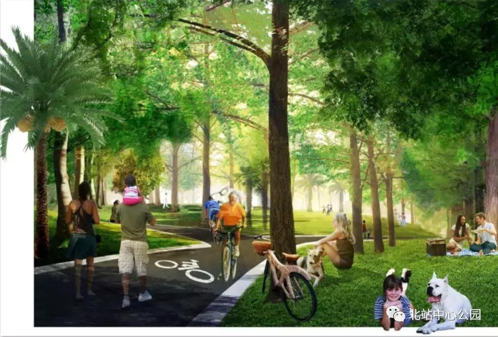 深圳将建8万人专业足球场,全国最大足球公园