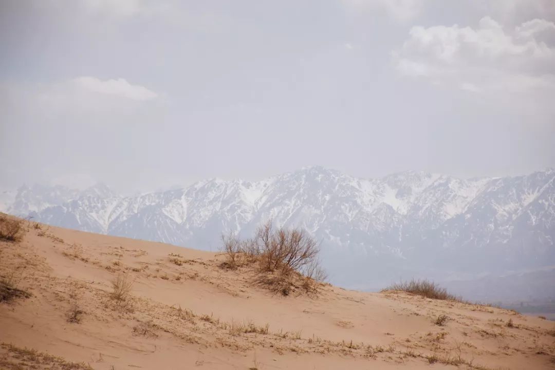 茶烟缭绕,茶烟缭绕什么歌