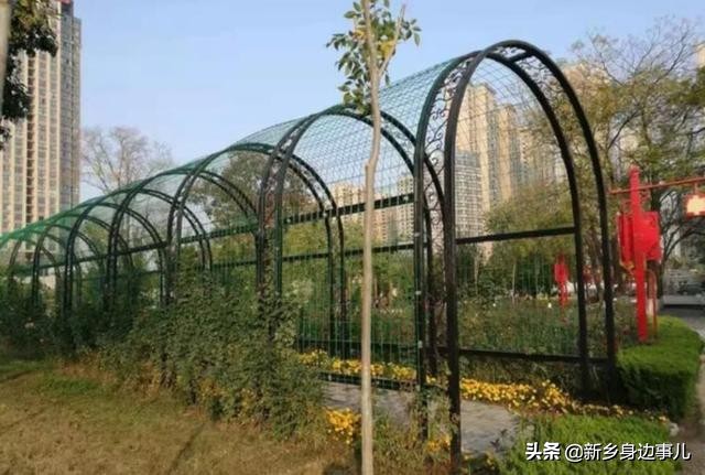 新乡卫河公园的前世今生,卫河公园的历史发展