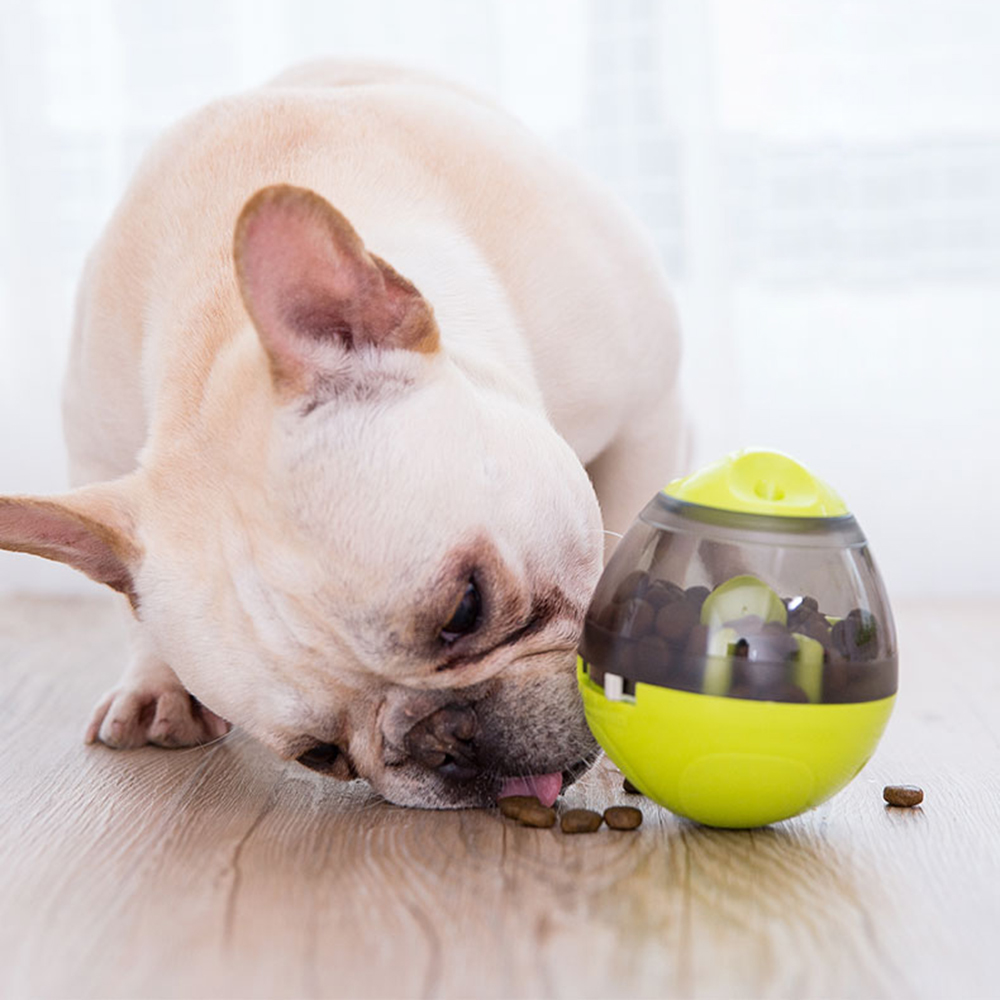 狗狗的玩具最适合哪一种,狗狗必备的5种玩具