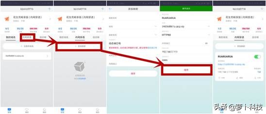 花生壳内网穿透,花生壳内网穿透盒子