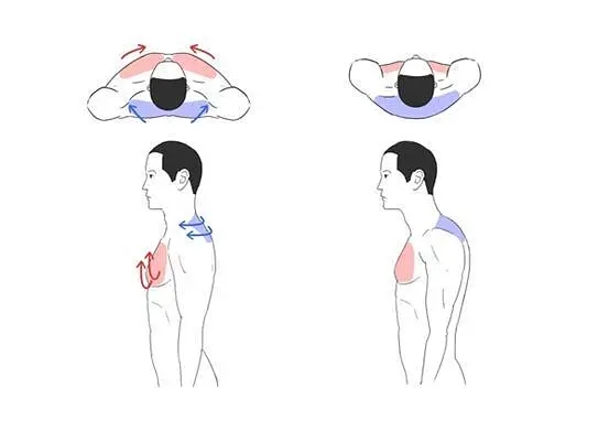 斜方肌太大怎么练视频,斜方肌太大了怎么练哑铃