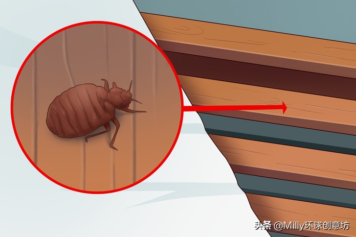 家中臭虫怎么彻底清除,家中有臭虫用什么杀虫剂