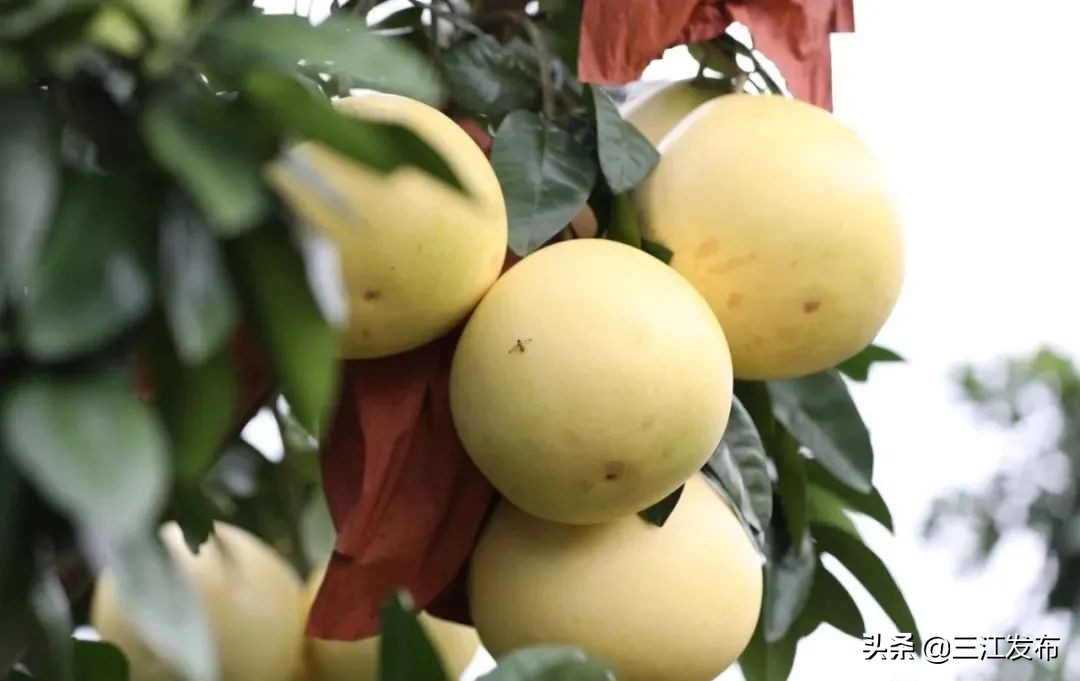 三江旅游攻略三天,扩散景区