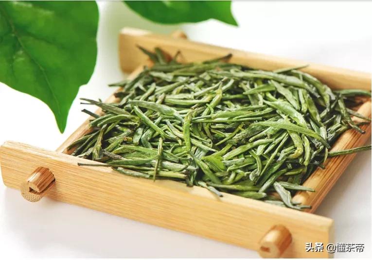 十大名茶最新排名白茶,哪里的雪芽茶叶最好