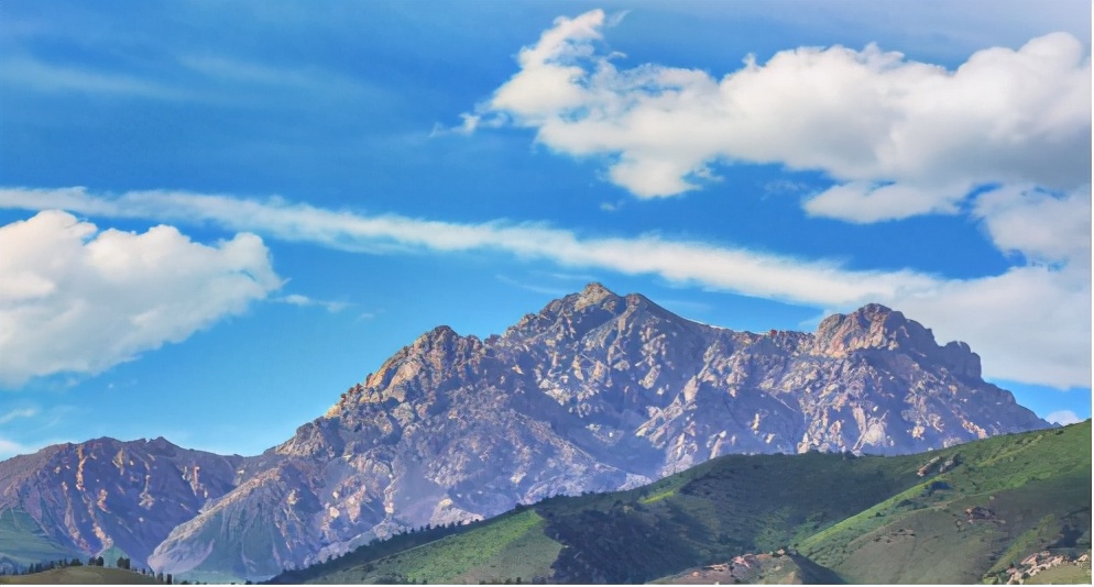 净土天峻,净土天峻高原牧场图片