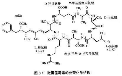 池塘蓝藻如何躲掉？养殖户多年经验，告诉你只要3点