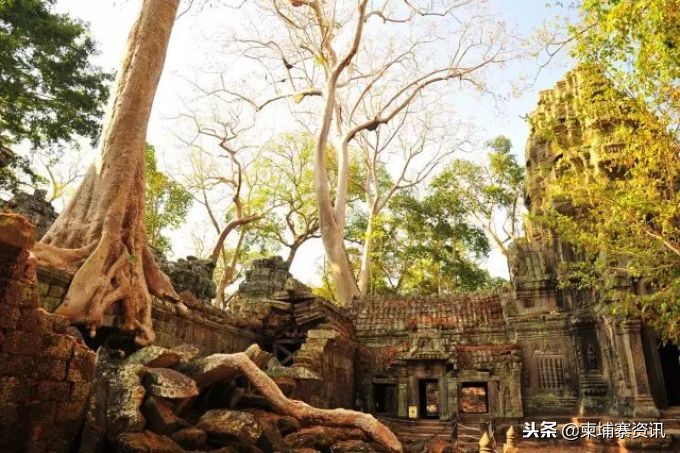 第一次去柬埔寨要报备吗,第一次去柬埔寨工作需要准备什么