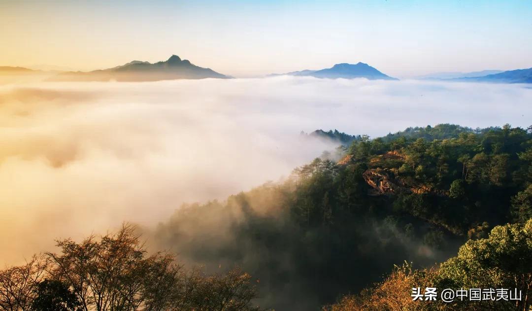 武夷暖暖慢生活图片,武夷山冬日暖阳