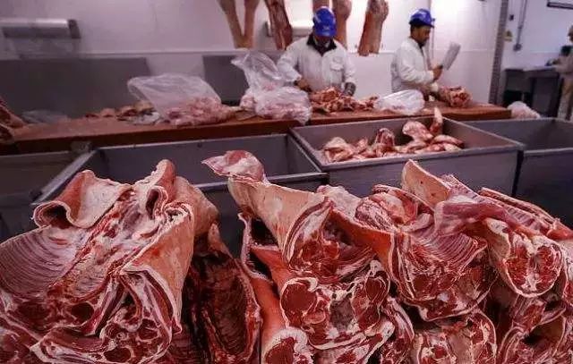 关于正邦集团的案例分析,正邦集团养猪知识