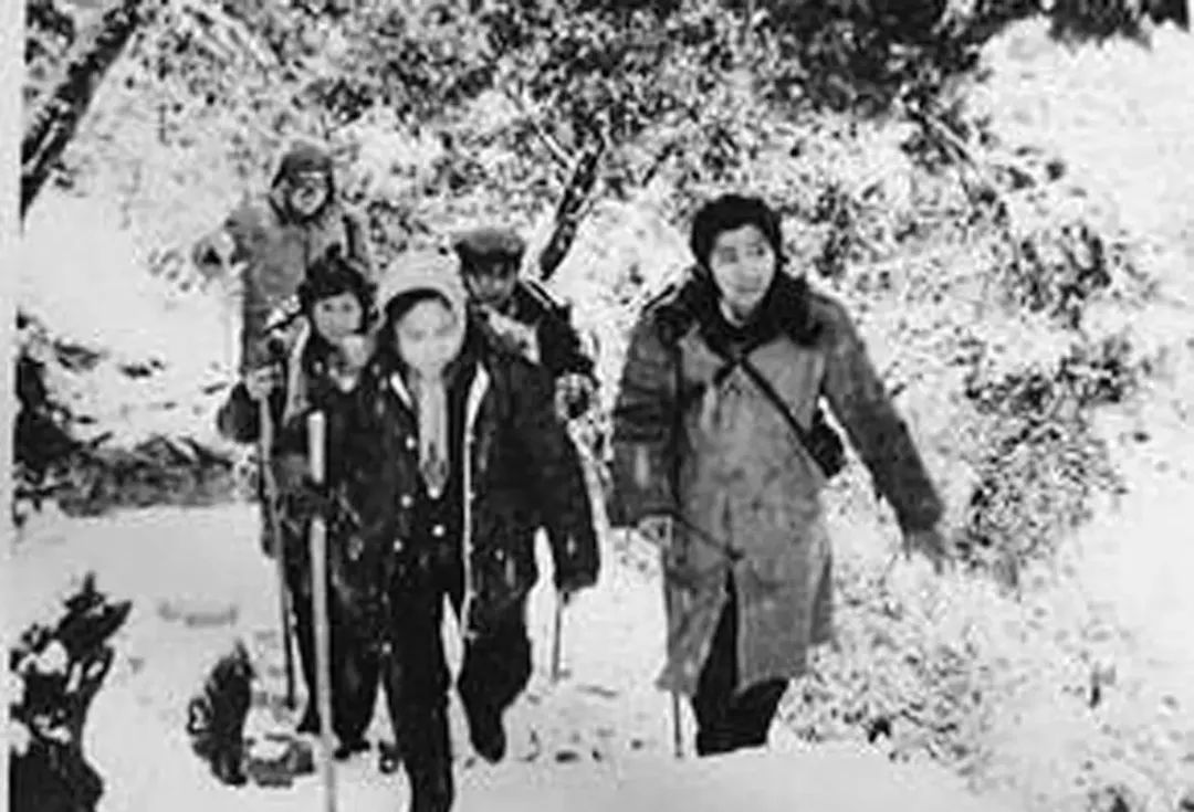 朱琳和徐少华的现状,朱琳与徐少华现状