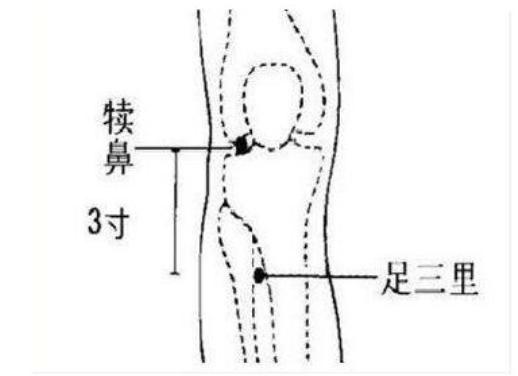 腿疼有湿寒艾灸哪个穴位见效,怎么给膝盖艾灸祛湿去寒