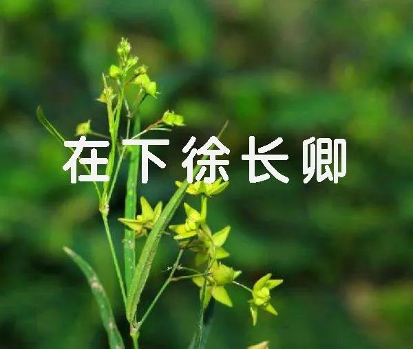 新生儿王者荣耀名字,2022新生儿爆款名字排行榜