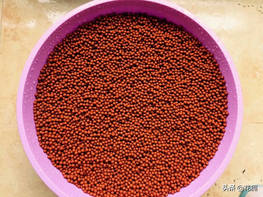 好吃新鲜花生,怎么发花生芽又粗又嫩