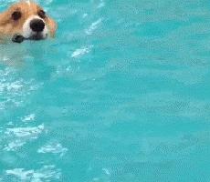 髋关节出了问题一个动作自测,这些症状你千万别再忽略了