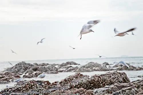 在青岛玩怎么能尽兴,青岛冬季旅游攻略最新消息