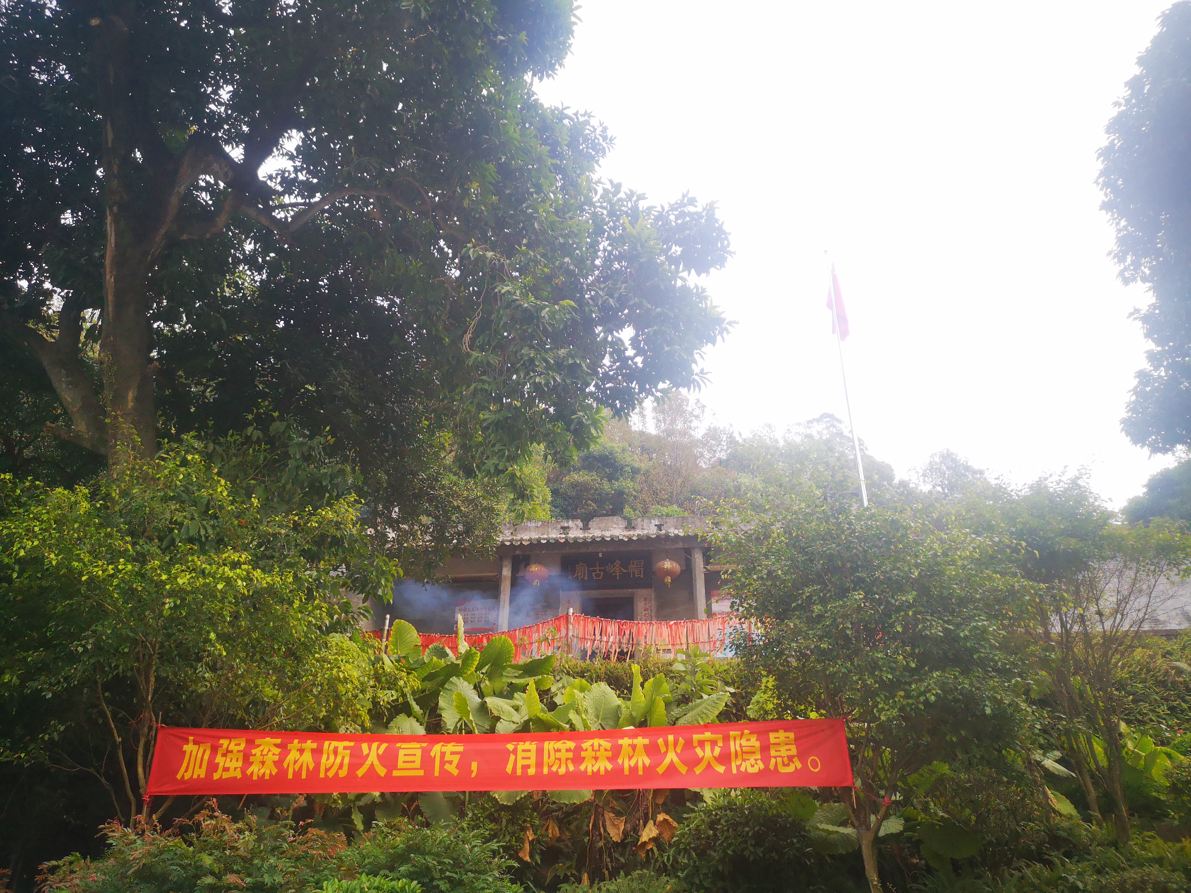 广州市帽峰山一日游全攻略图片,广州帽峰山景区自驾旅游攻略图