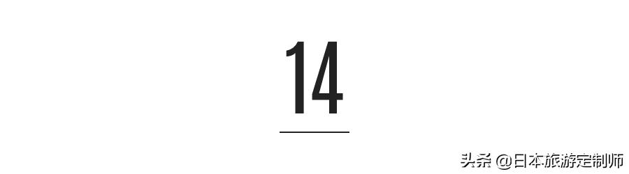 日本最美小景点,日本超美的花海美景