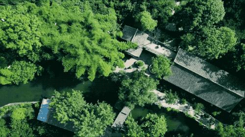 人间仙境般的世外桃源庭院,原始森林自建世外桃源