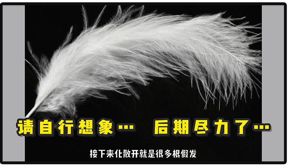 我花了2000块钱接头发,到底值不值?