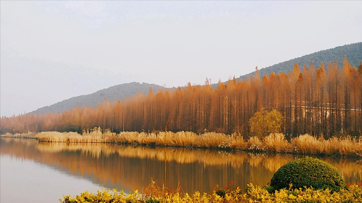 江苏省徐州市市级行政区是哪里,江苏省徐州市有哪个区