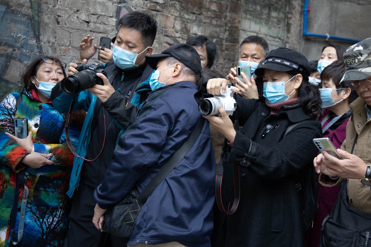 閲戣壊鐩涘勾鎽勫奖姣旇禌,閲戣壊鐩涘勾