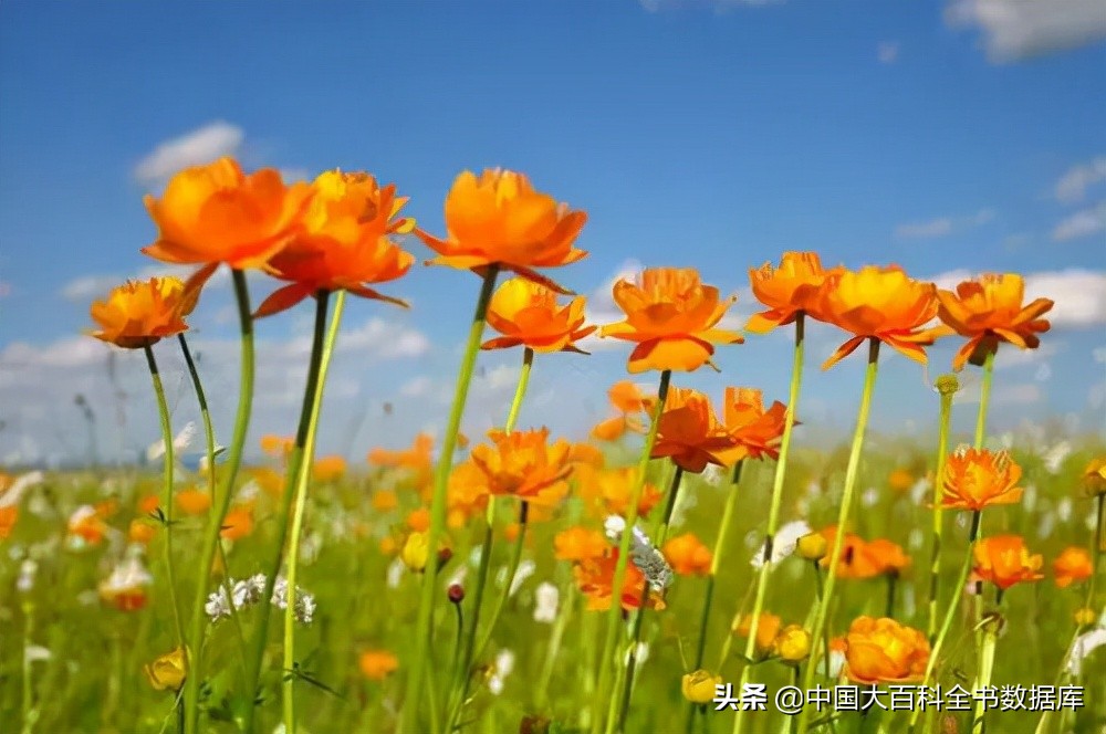 消失600年的元中都遗址,消失的元上都