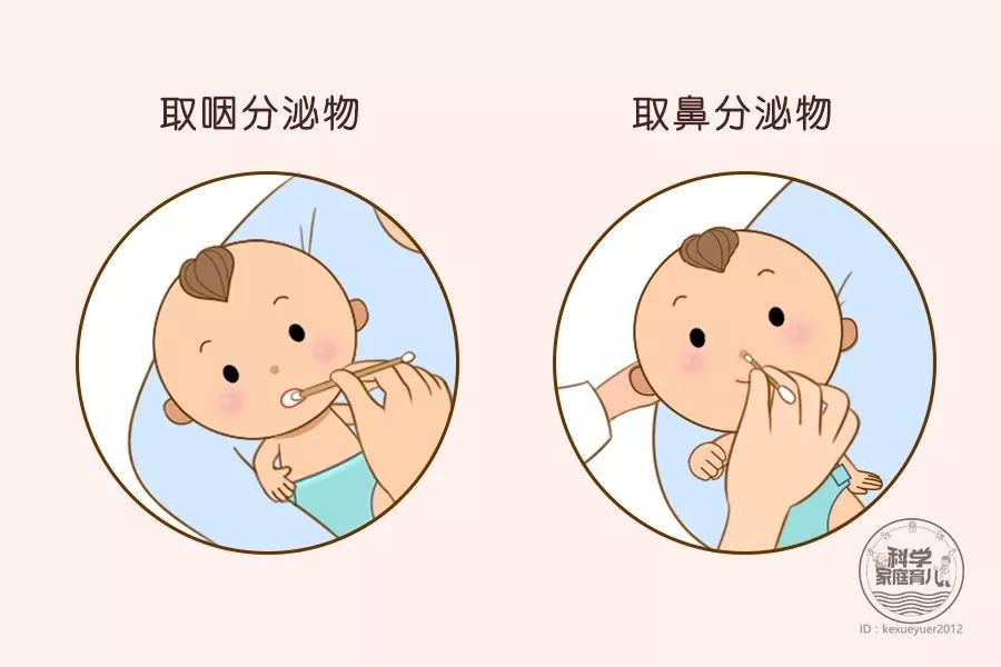 怎么判断细菌感染病毒感染,简单判断病毒感染还是细菌感染