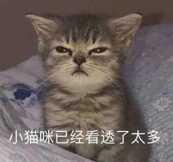 哪个明星做了颧骨内推,颧骨内推明星前后对比