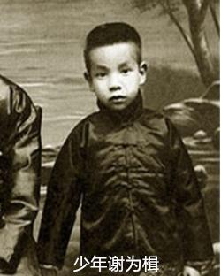 冰心写的繁星春水三首,冰心写繁星春水的背后故事