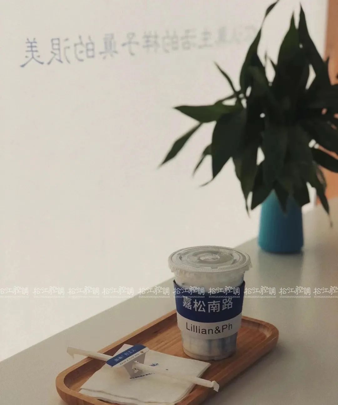 松江佘山辰山植物园一日游攻略,松江方塔园哪好玩