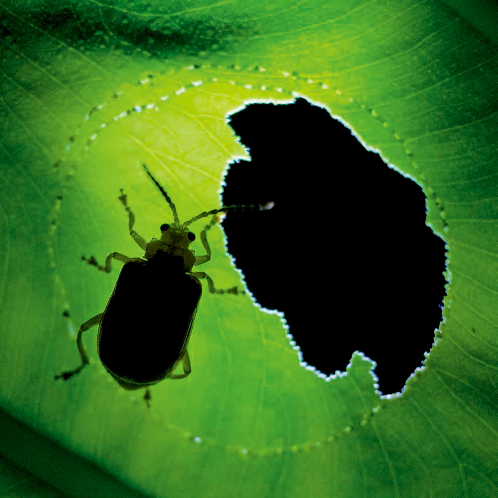 程斌摄影师,程斌摄影师作品