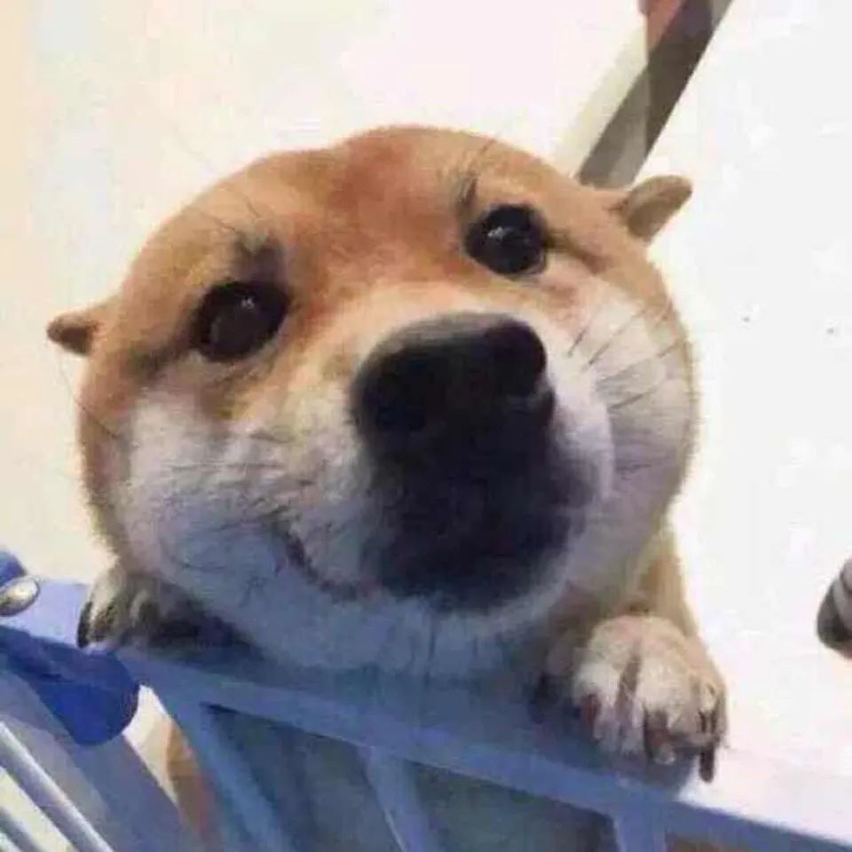 Hbuy实用干货：海运散货vs国际快递vs空运