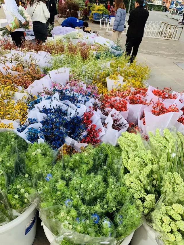 昆明是浪漫又土豪的城市,昆明是个很浪漫的城市