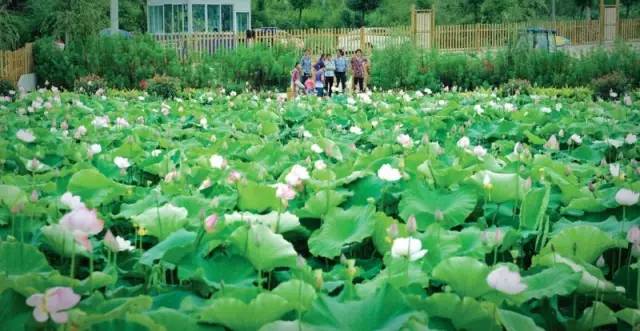 贵州旅游攻略超详细,贵州自驾游攻略推荐7到10天