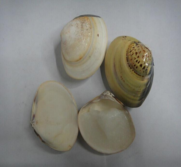 卖家说了不包邮怎么付运费呢,不包邮商品如何要回运费