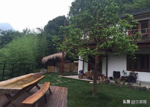 8个适宜在农村创业致富的项目,4个适合农村挣钱好项目推荐