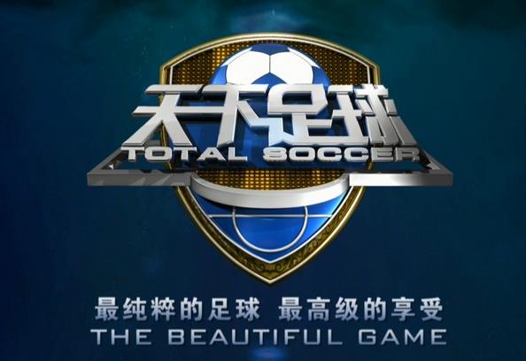 天下足球十大催泪解说,天下足球十大经典解析