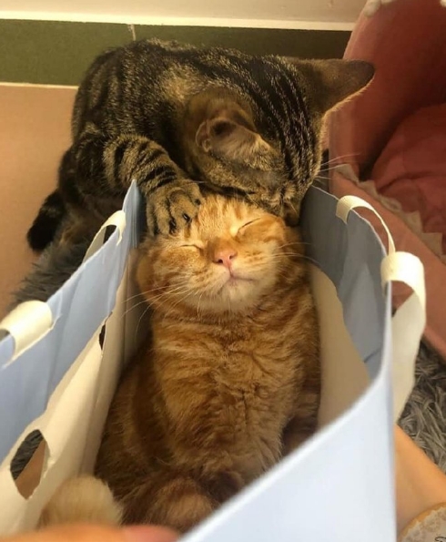 二手挖机市场或面临什么样的冲击,怎样分辨翻新二手挖机