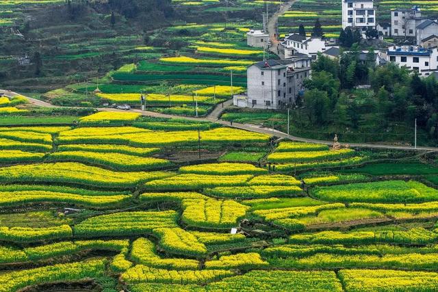 安徽的颜值为什么这么高,安徽的大美风光