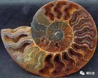 阿拉善戈壁滩捡石头具体地点,德令哈戈壁滩捡石头小视频