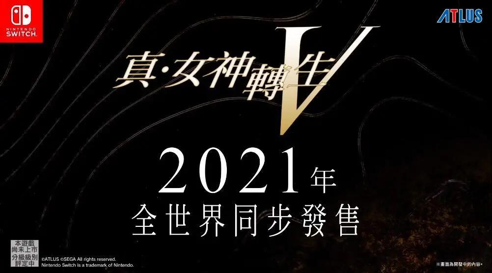 ns速报,ns真女神转生5多少个g