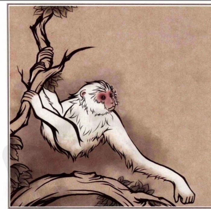 山海经里面的奇异生物,山海经奇异灵兽