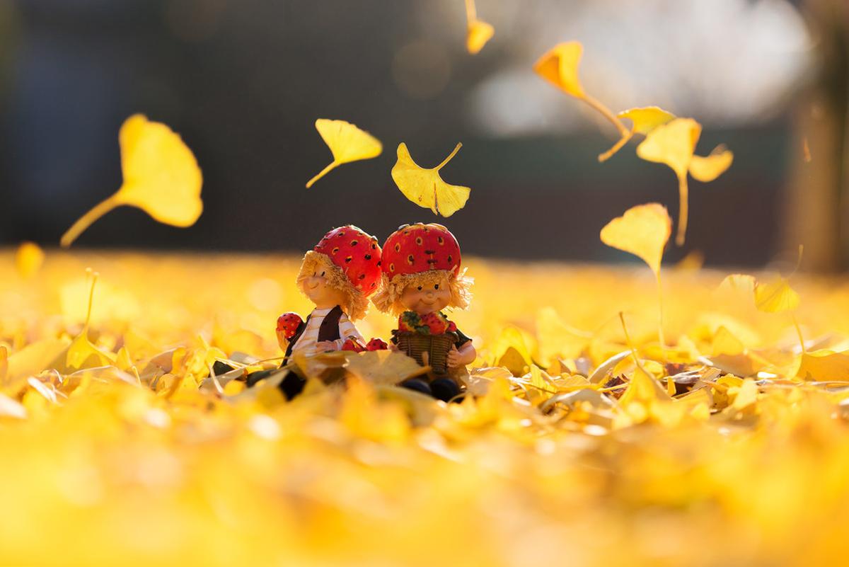 用陪伴温暖和治疗抑郁症患者