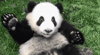 你才可爱你全家都可爱怎么回,你才可爱你全家都可爱出处